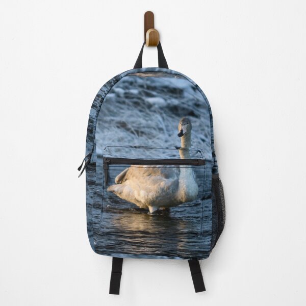 Item preview, Teens teens. Whooper swan designed and sold by Jouko Lehto Photography.