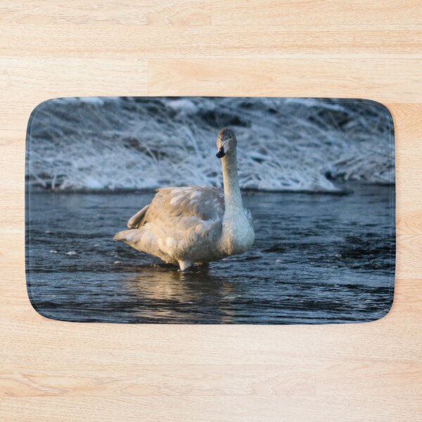 Item preview, Teens teens. Whooper swan designed and sold by Jouko Lehto Photography.
