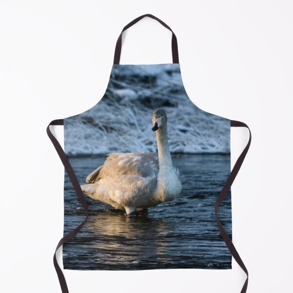 Item preview, Teens teens. Whooper swan designed and sold by Jouko Lehto Photography.
