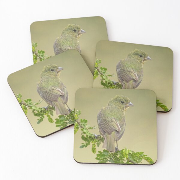Item preview, Female Painted Bunting South Texas designed and sold by PhotoArt by Joan Carroll.