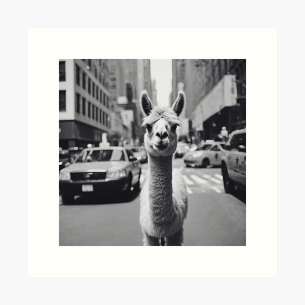 Artikel-Vorschau von New Yorker Lama, designt und verkauft von azy2shop.
