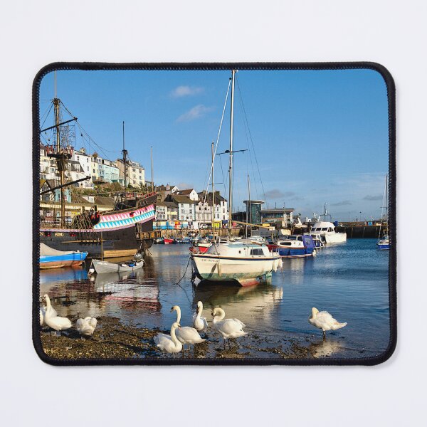 Item preview, Swans at Brixham Harbour designed and sold by rosiephotos.