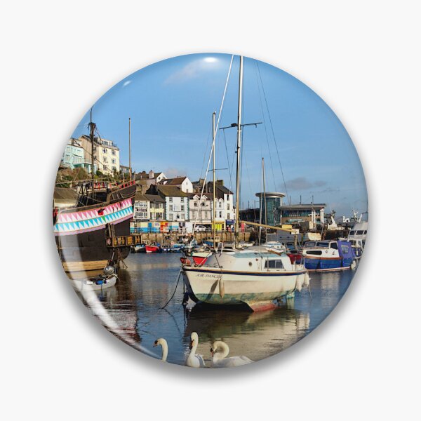 Item preview, Swans at Brixham Harbour designed and sold by rosiephotos.
