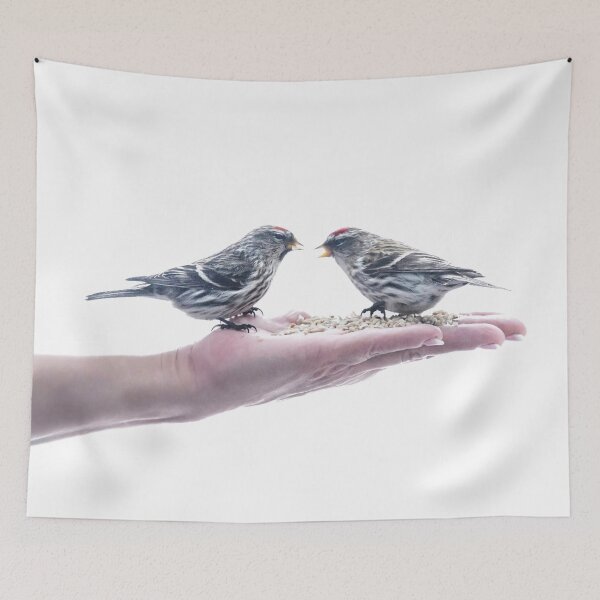 Item preview, Common Redpolls Eating out of a Woman's Hand designed and sold by Shauna Kenworthy.