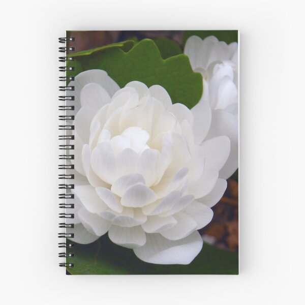Item preview, Double Bloodroot designed and sold by Betty Mackey.