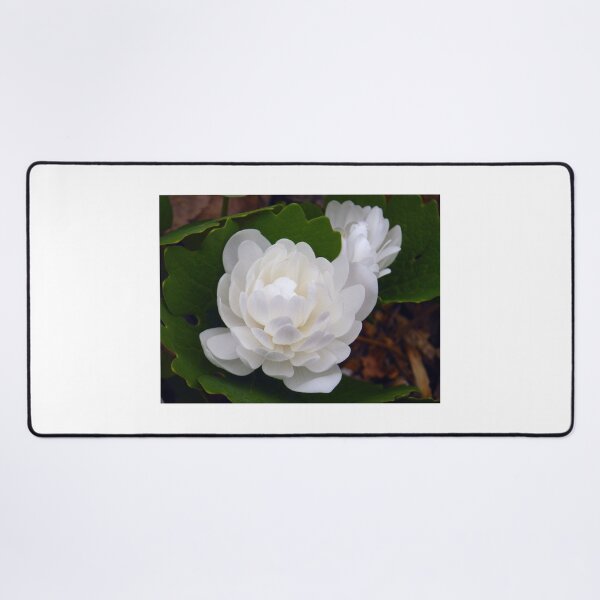 Item preview, Double Bloodroot designed and sold by Betty Mackey.
