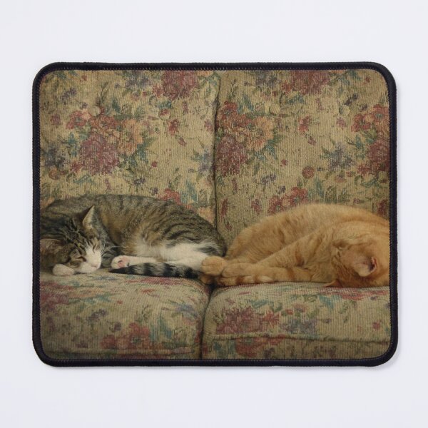 Item preview, Couch Potatoes designed and sold by Frankie Cat Photography.