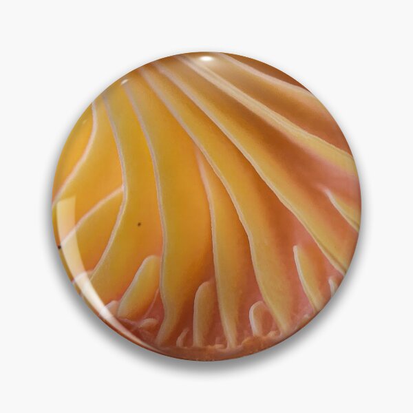 Item preview, Gills of Sunshine designed and sold by Students of Life.