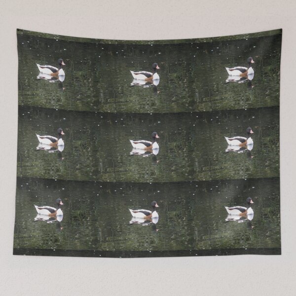 Item preview, Shelduck Reflection on Water Photograph designed and sold by naturegallery.