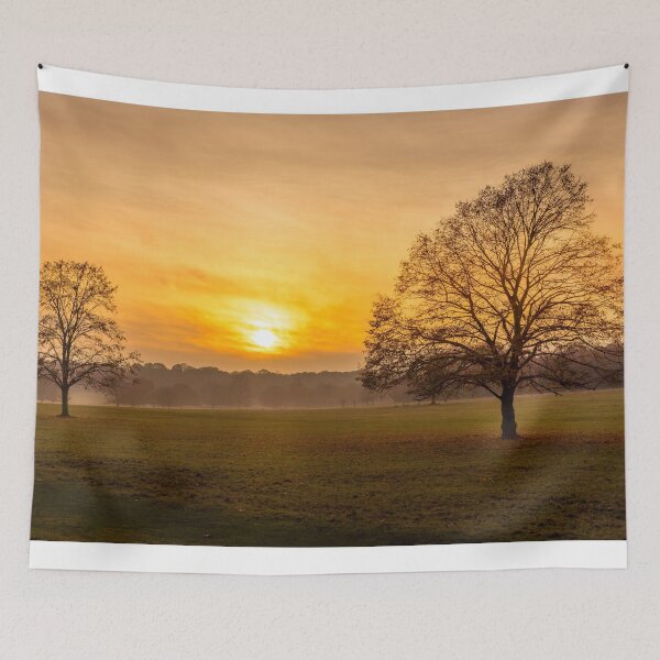 Item preview, Richmond Park London Winter Sunset designed and sold by henrytangphotos.