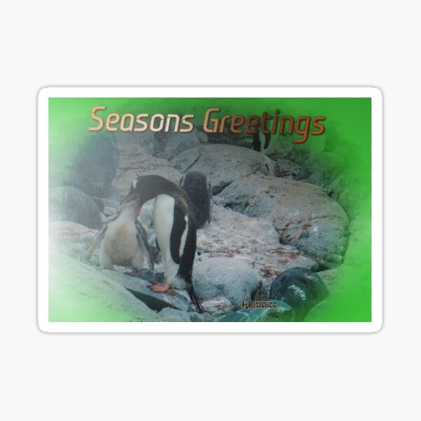 Item preview, Gentoo Penguins in Antarctica designed and sold by Bev Pascoe.