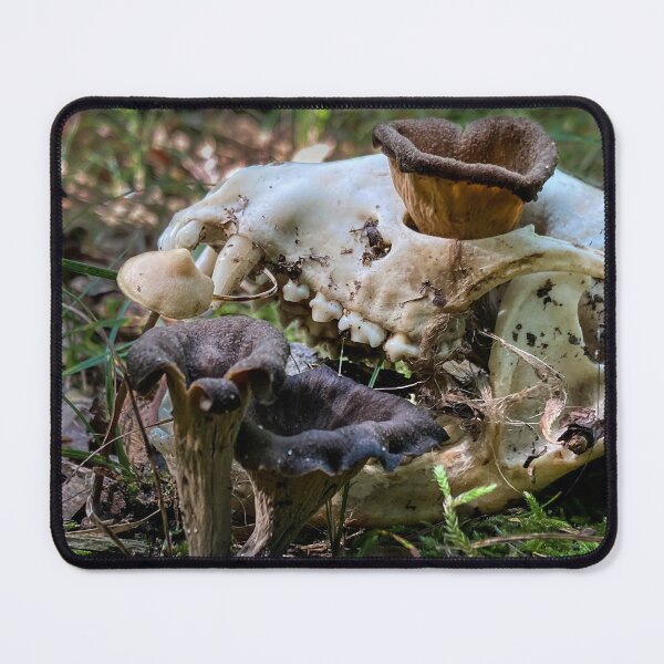 Item preview, Memento Mori designed and sold by Students of Life.