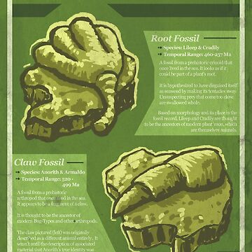Artwork thumbnail, Fossils of Hoenn by Daniel Swain Creations