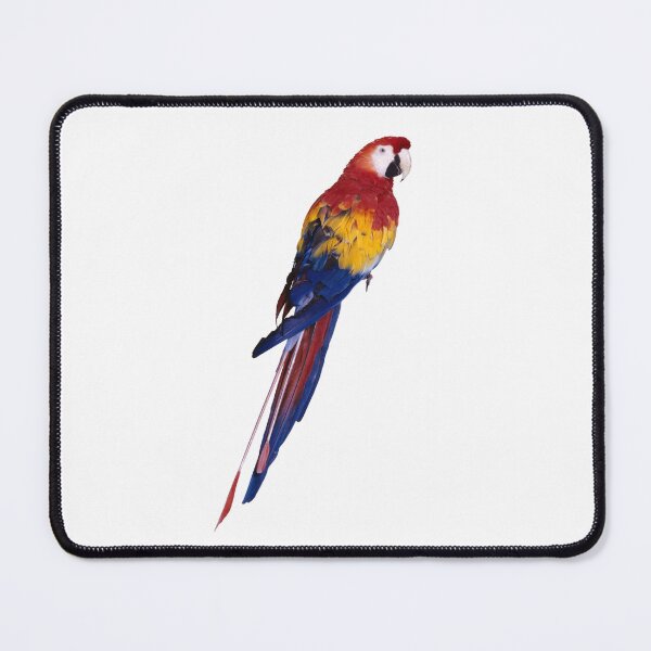Item preview, Perroquet designed and sold by Collection de trésors .
