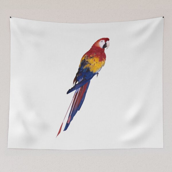 Item preview, Perroquet designed and sold by Collection de trésors .