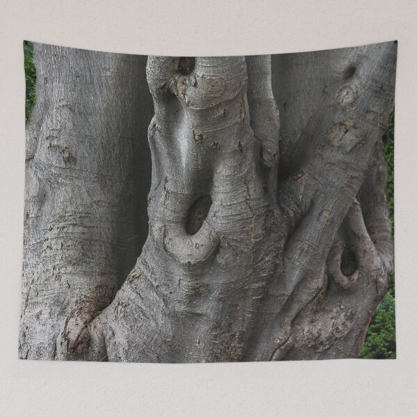 Item preview, Mother Nature's Elderly Tree designed and sold by heatherfriedman.