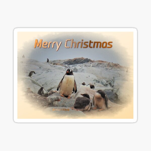 Item preview, Gentoo Penguin Nursery, Antarctica designed and sold by Bev Pascoe.