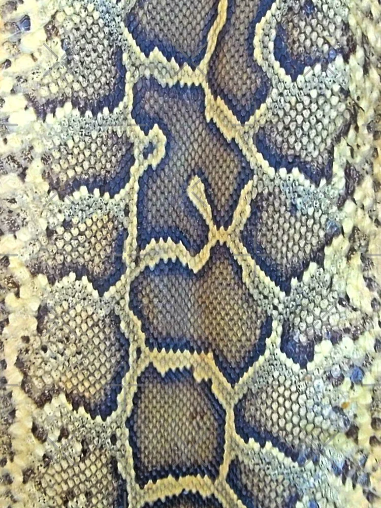 Thumbnail 4 of 4, iPhone Case, Burmese Python Skin designed and sold by Tree45.