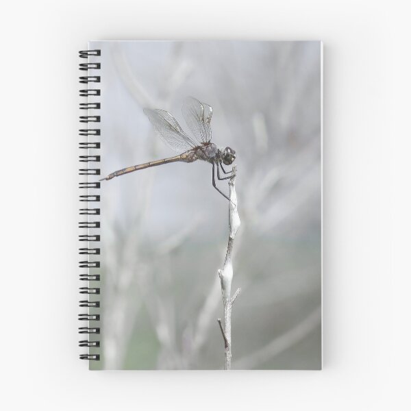 Item preview, Silver Wings designed and sold by Rosalie Scanlon.