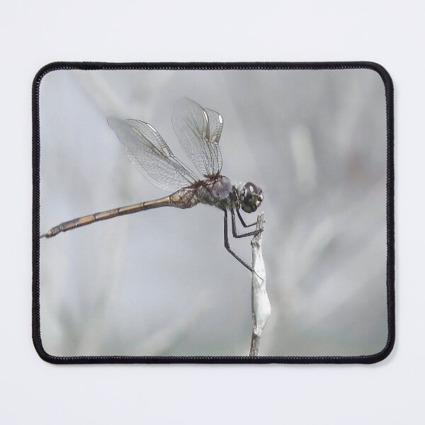 Item preview, Silver Wings designed and sold by Rosalie Scanlon.