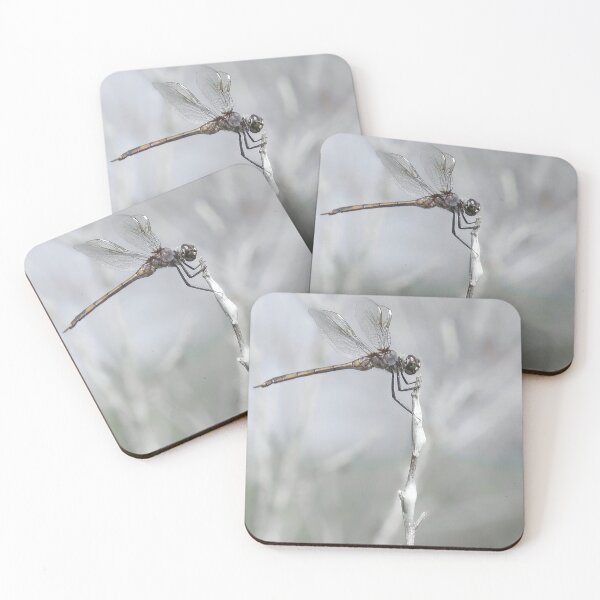 Item preview, Silver Wings designed and sold by Rosalie Scanlon.