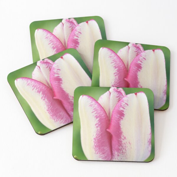 Item preview, Tulipa  'Hotpants'   Triumph Group  Tulip  designed and sold by Chris Burrows.