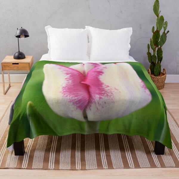 Item preview, Tulipa 'Hotpants' Triumph Group Tulip designed and sold by Chris Burrows.