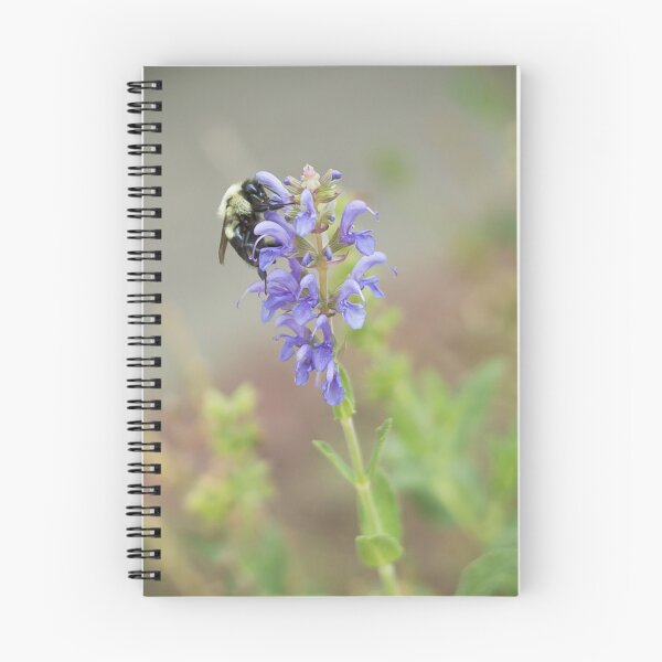 Item preview, Pollen Collector designed and sold by PhotosByDSR.