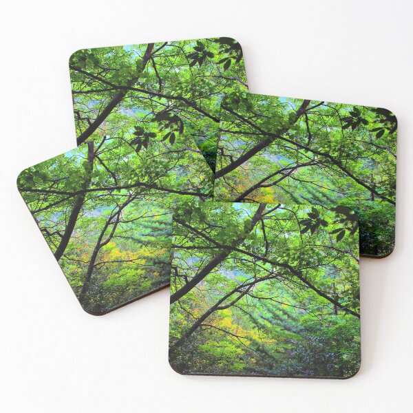 Item preview, Scenery from Eremo di Soffiano near Sarnano in the Sibillini Mountains with trees, foliage, trunks designed and sold by Kristina Drozd.
