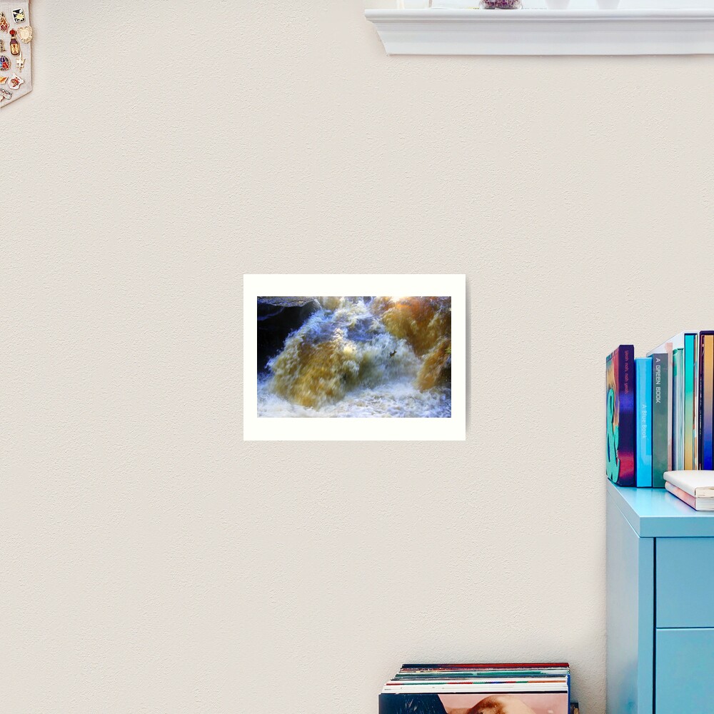 Ode to a Salmon Art Print