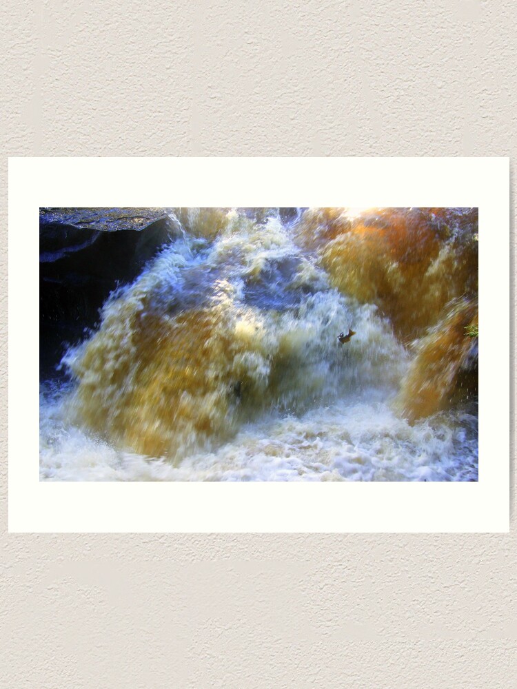Alternate view of Ode to a Salmon Art Print