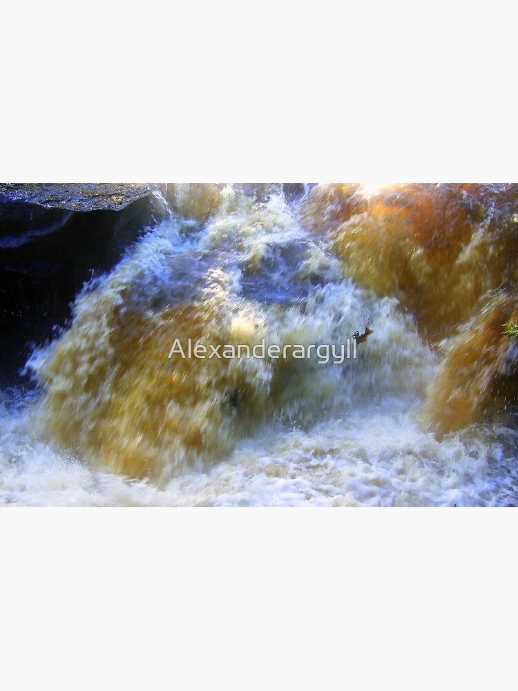 Ode to a Salmon by Alexanderargyll