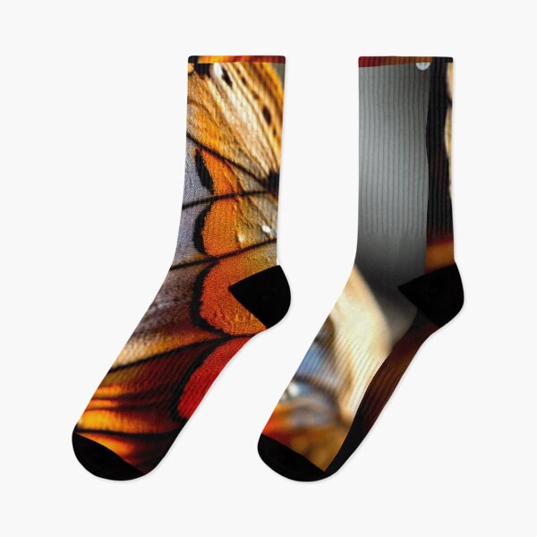 Item preview, Butterfly Wings - Burnt Orange Flight of Fancy designed and sold by Highlandkings.