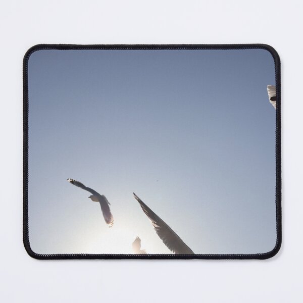 Item preview, Sunny Seagulls designed and sold by PhotographyJBM.