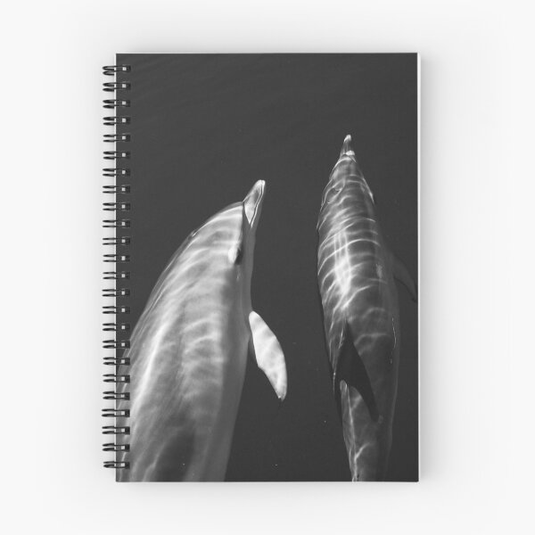 Item preview, Black and white dolphins designed and sold by Chloé Yzoard.