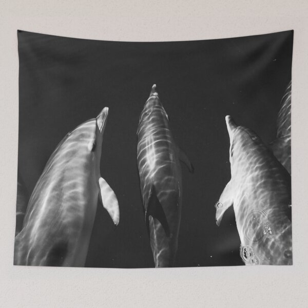 Item preview, Black and white dolphins designed and sold by Chloé Yzoard.