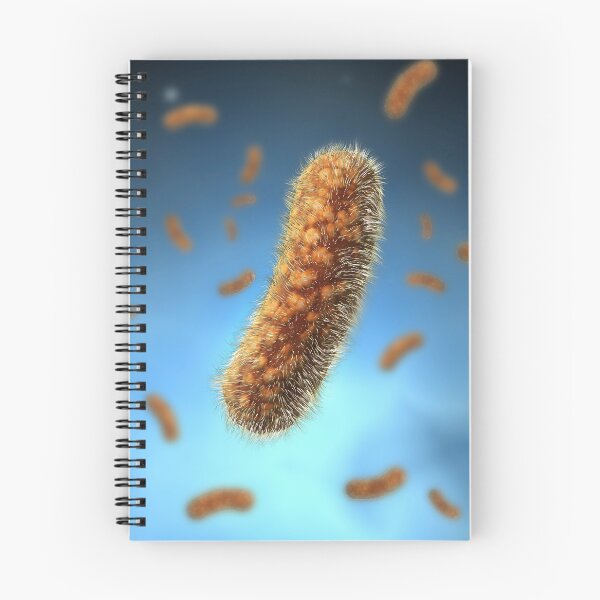 Item preview, STK701326H-The Bacillus bacteria. designed and sold by StocktrekImages.