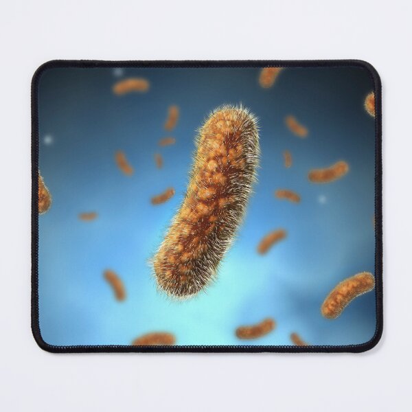 Item preview, STK701326H-The Bacillus bacteria. designed and sold by StocktrekImages.