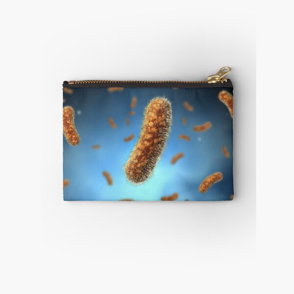Item preview, STK701326H-The Bacillus bacteria. designed and sold by StocktrekImages.