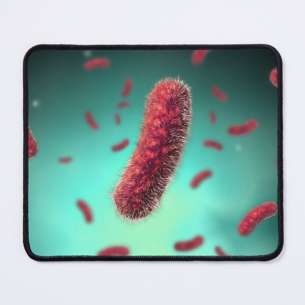 Item preview, STK701327H-The Bacillus bacteria. designed and sold by StocktrekImages.