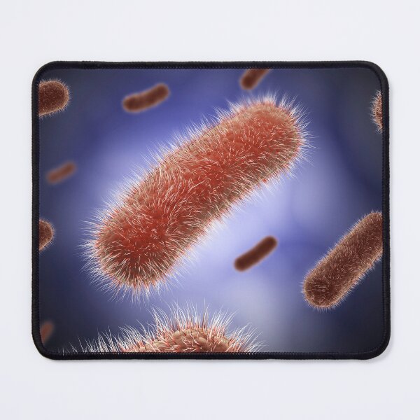 Item preview, STK701328H-The Bacillus bacteria. designed and sold by StocktrekImages.