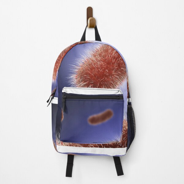 Item preview, STK701328H-The Bacillus bacteria. designed and sold by StocktrekImages.