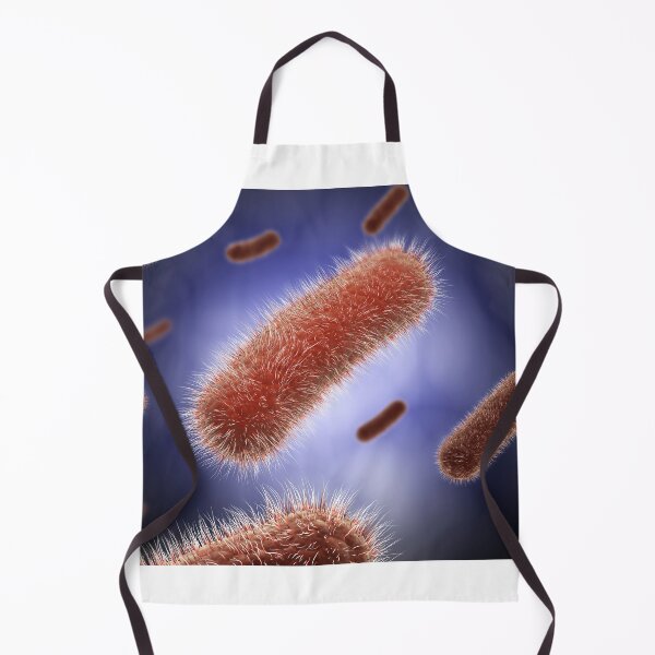 Item preview, STK701328H-The Bacillus bacteria. designed and sold by StocktrekImages.