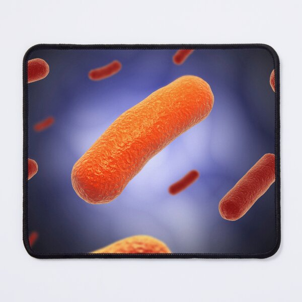 Item preview, STK701329H-The Bacillus bacteria. designed and sold by StocktrekImages.