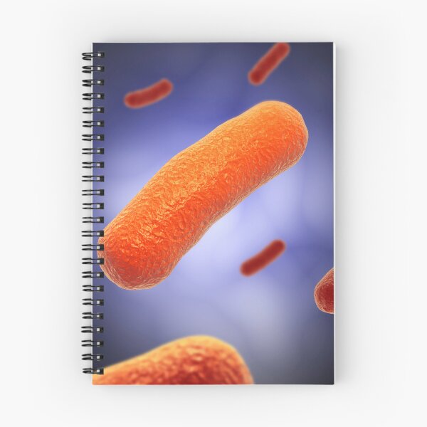 Item preview, STK701329H-The Bacillus bacteria. designed and sold by StocktrekImages.