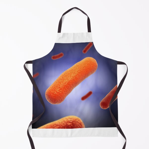 Item preview, STK701329H-The Bacillus bacteria. designed and sold by StocktrekImages.