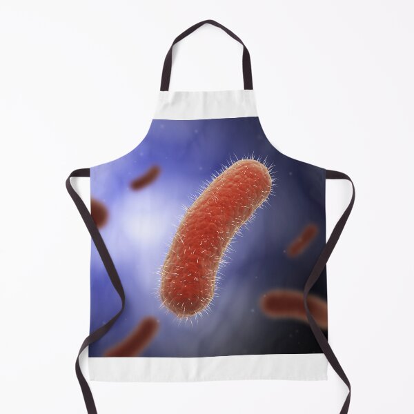 Item preview, STK701330H-The Bacillus bacteria. designed and sold by StocktrekImages.