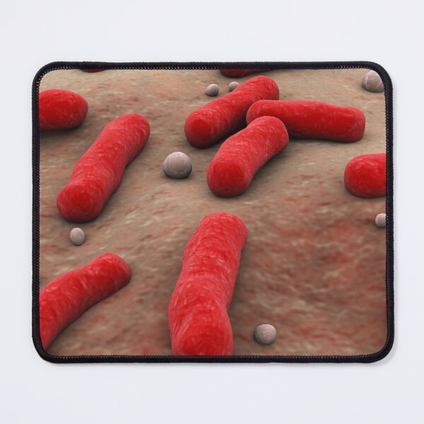 Item preview, STK701331H-The Bacillus bacteria. designed and sold by StocktrekImages.