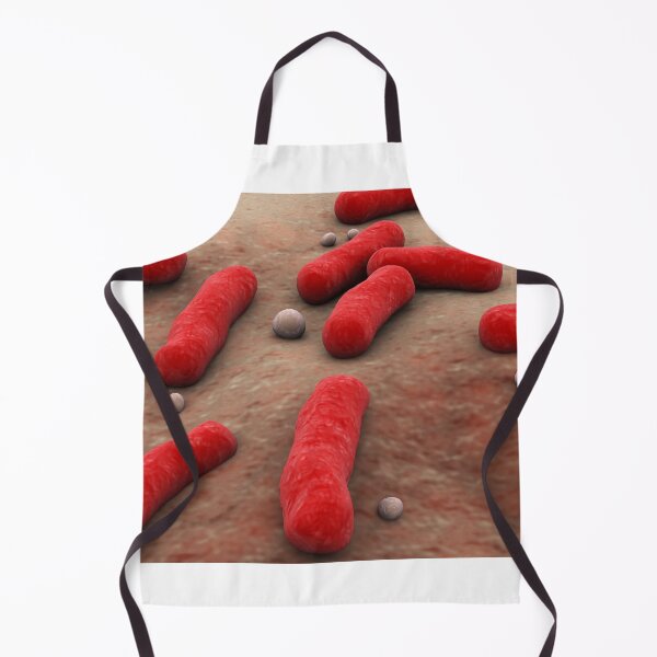 Item preview, STK701331H-The Bacillus bacteria. designed and sold by StocktrekImages.