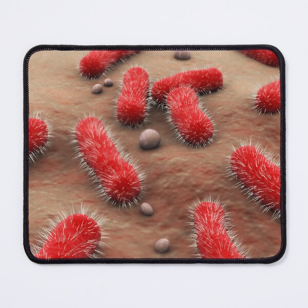 Item preview, STK701332H-The Bacillus bacteria. designed and sold by StocktrekImages.